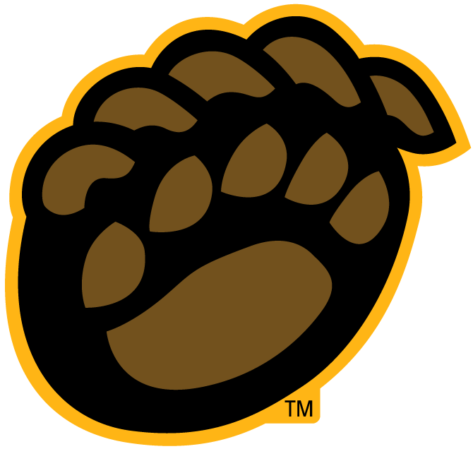Baylor Bears 2005-Pres Alternate Logo v8 iron on transfers for T-shirts